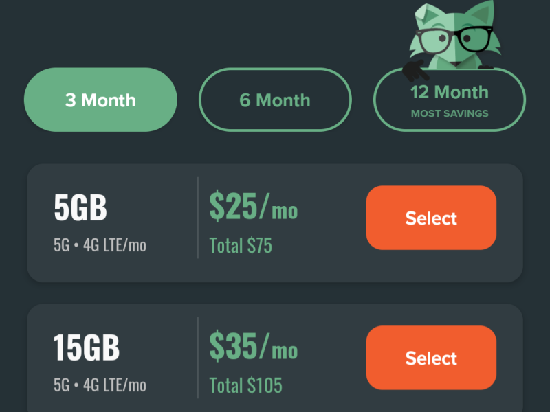 Mint Mobile Plan - New Connections Offer
