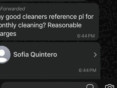 Sofia - house apartment cleaning