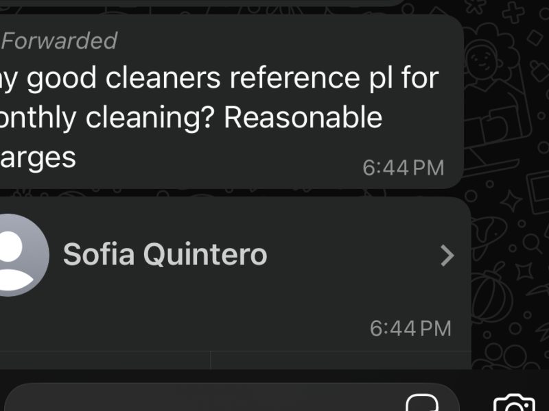 Sofia - house apartment cleaning
