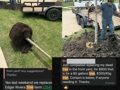 Edger Tree service